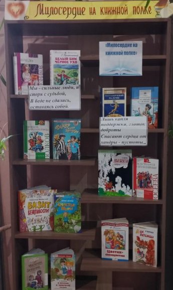 «Милосердие на книжной полке»