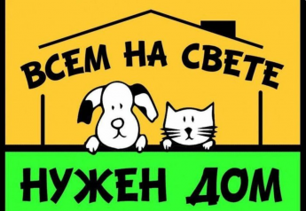 «Всем на свете нужен дом» игровое чтение