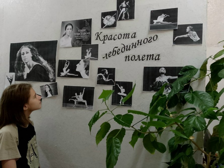 «Красота лебединого полета»