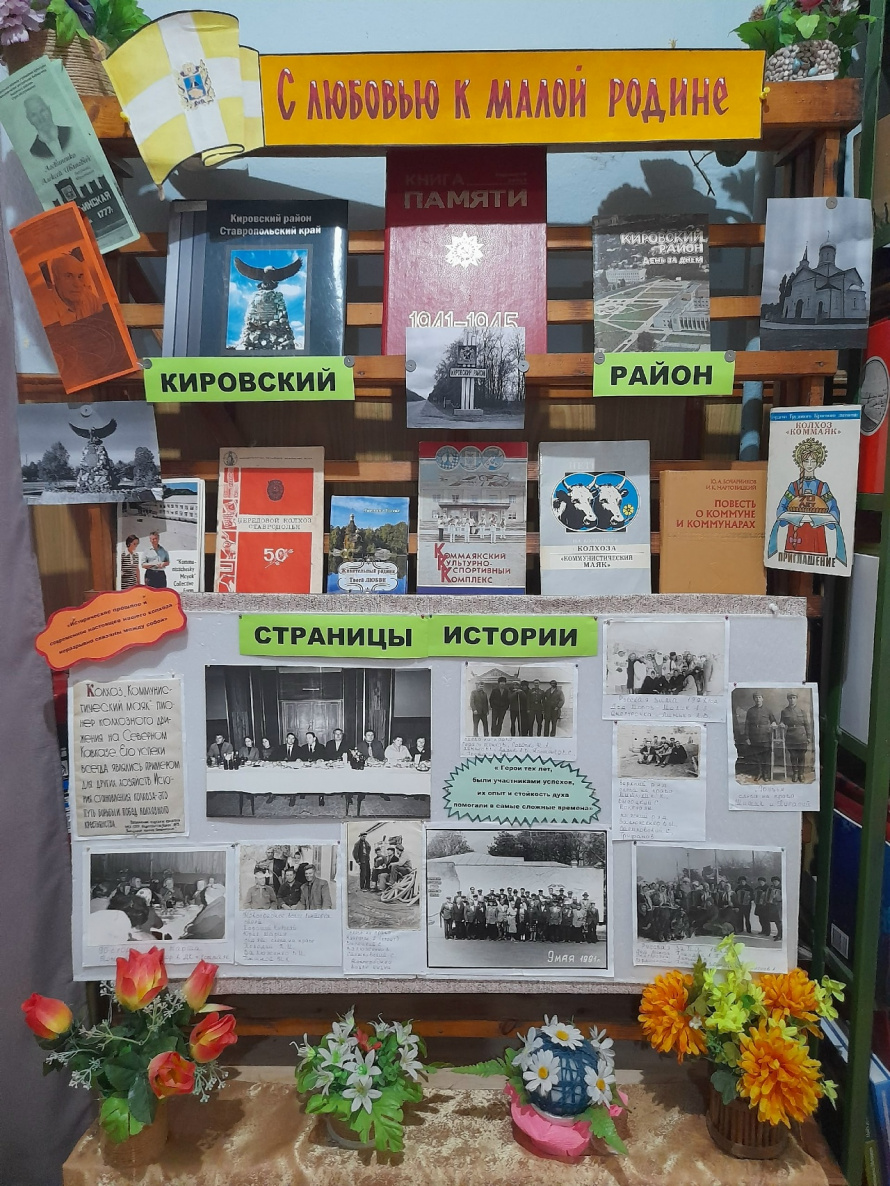 «С любовью к малой Родине: Кировский район - страницы истории»