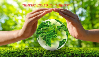 «Имеют право на защиту»