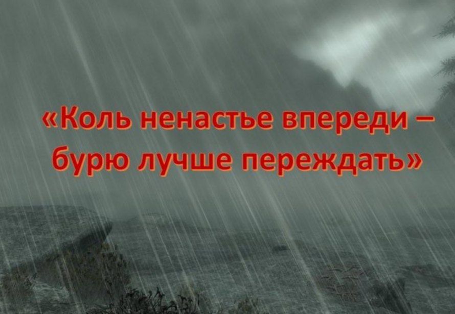 «Коль ненастье впереди - бурю лучше переждать»