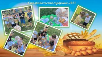 Познавательно – игровое мероприятие «Хлебушек – кормилец»