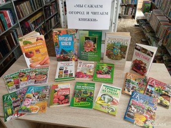 «Мы сажаем огород и читаем книжки»