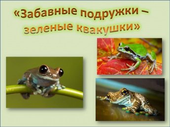 «Забавные подружки – зеленые квакушки»