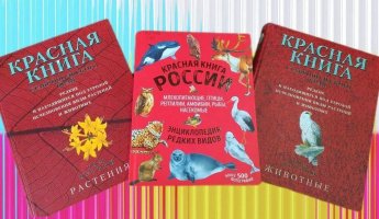 «Знакомьтесь, Красная книга!» тематичекий эко - час