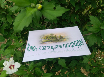 «Ключ к загадкам природы»