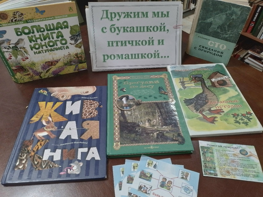  "Дружим мы с букашкой, птичкой и ромашкой»