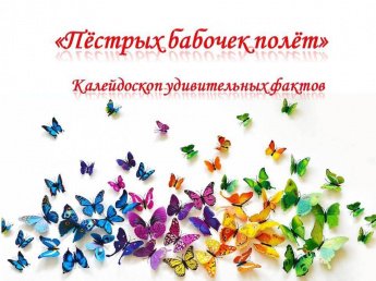 «Пёстрых бабочек полёт»