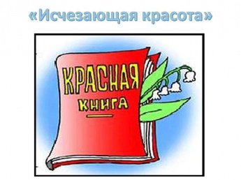 «Исчезающая красота»