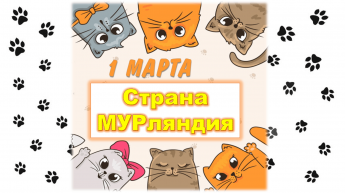 «Страна Мурляндия», книжная выставка - инсталляция