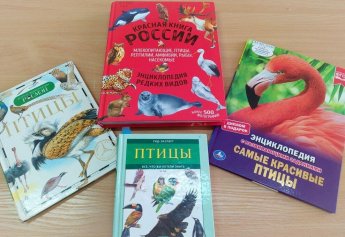 «Пернатые обитатели планеты», книжная выставка - инсталляция