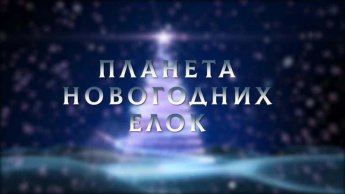 «Планета Новогодних елок»