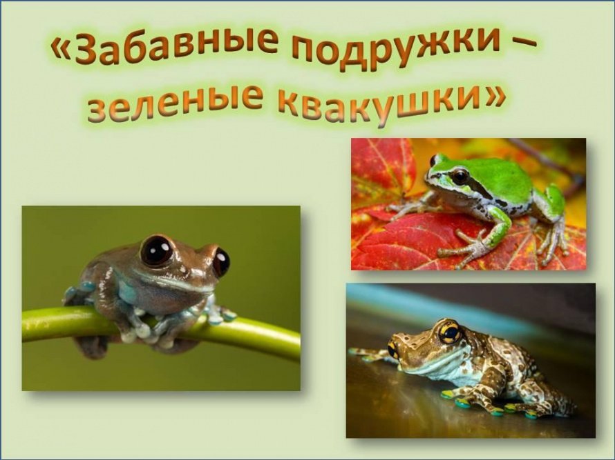 «Забавные подружки – зеленые квакушки»