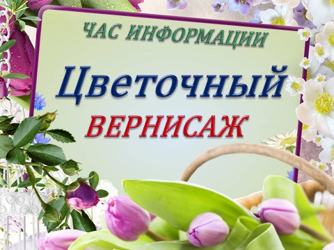 «Цветочный вернисаж»